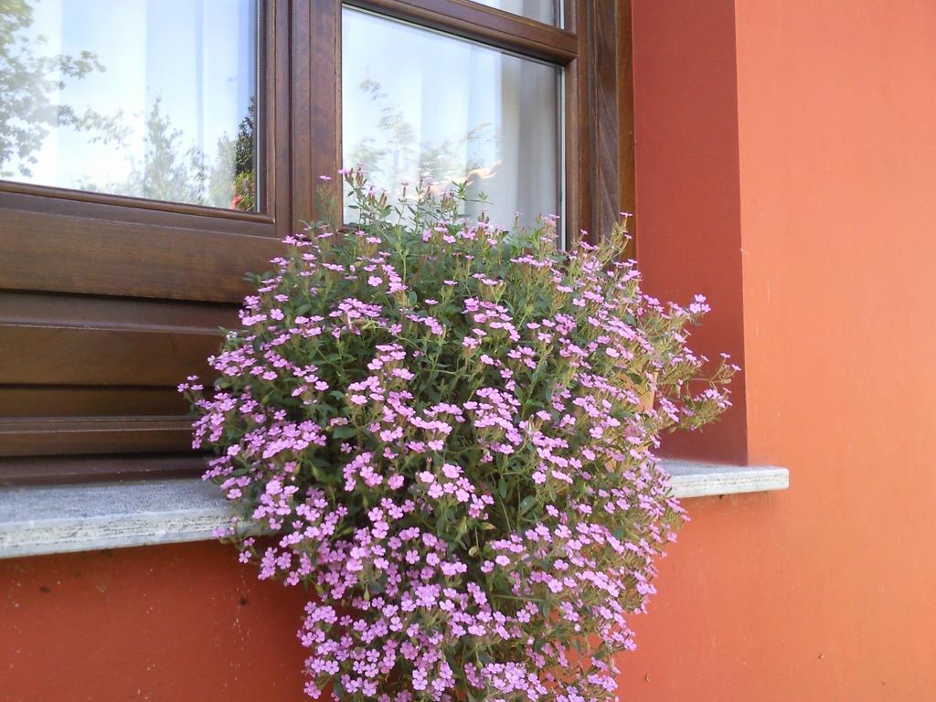 Apartamentos Rurales La Gueertona Ardines Zewnętrze zdjęcie